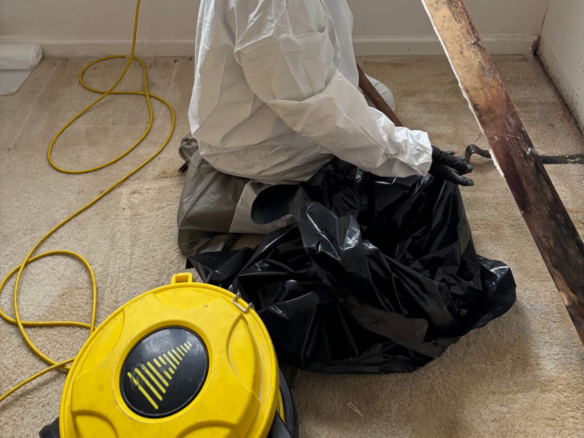Technician removing mold-contaminated material under containment
